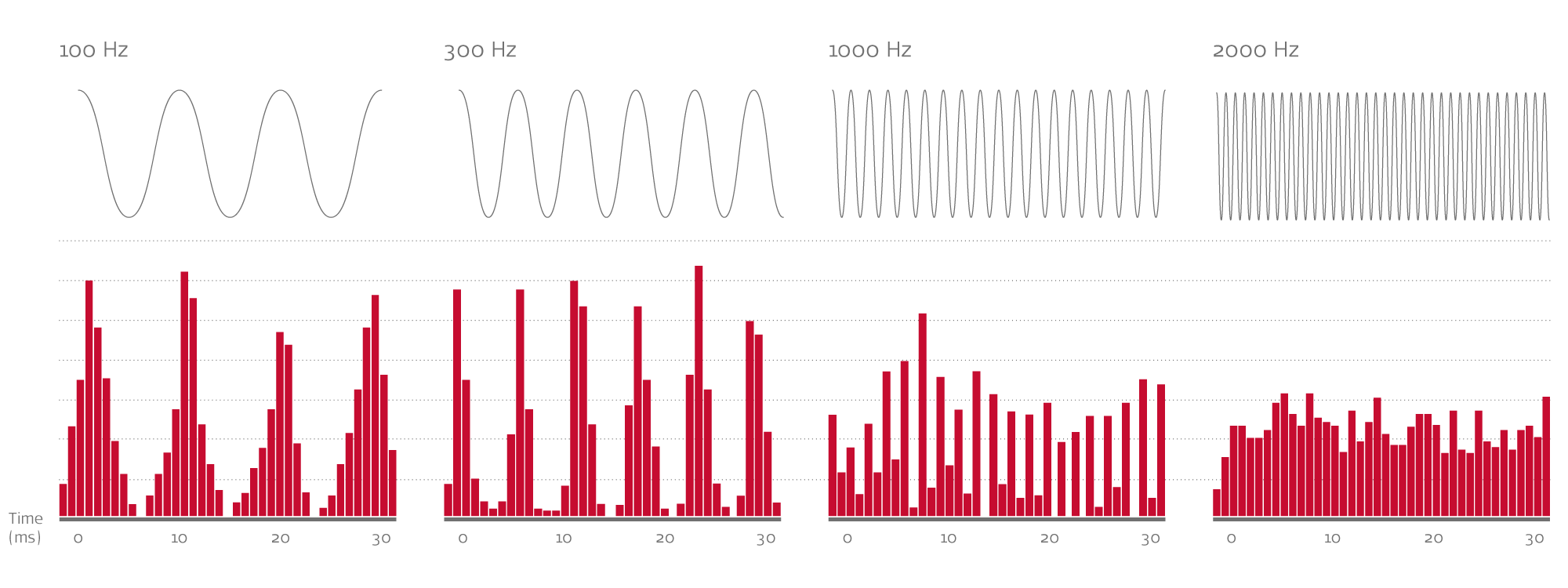 Auditory phase locking