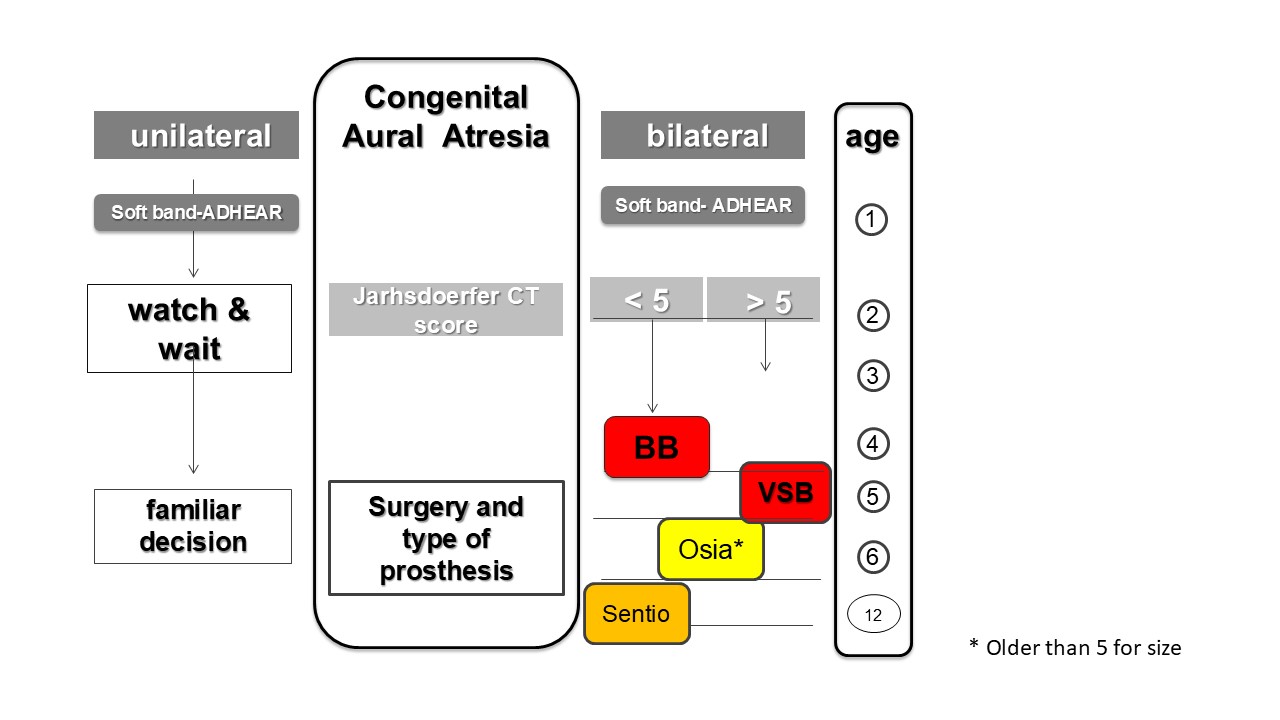 Treatment pathways for pediatric patients with microtia and congenital aural atresia.