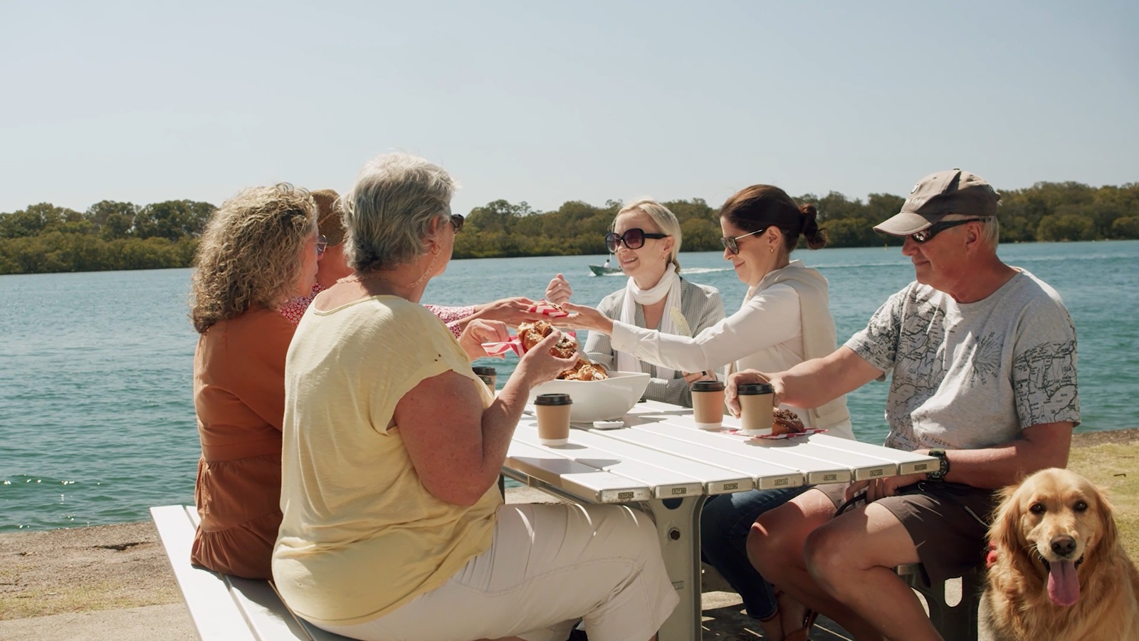 Rehab at Home for Adults covers group conversations such as have a picnic with your friends and family.