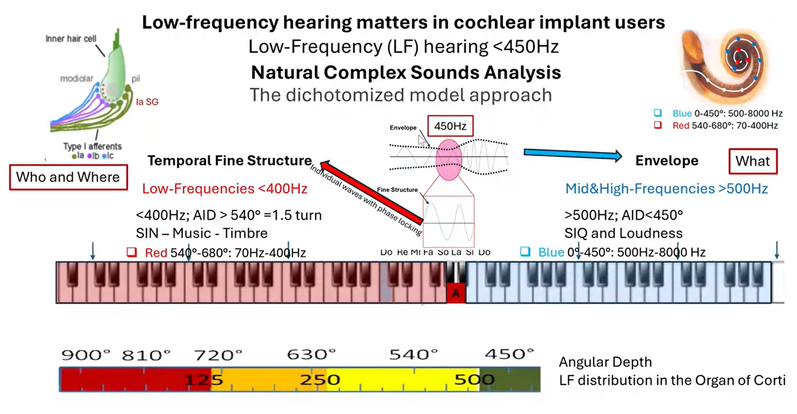 Low Frequencies Video Presentation by Pro. Paul Van de Heyning