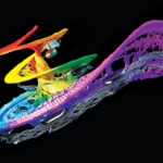 synchrotron imaging of cochlea